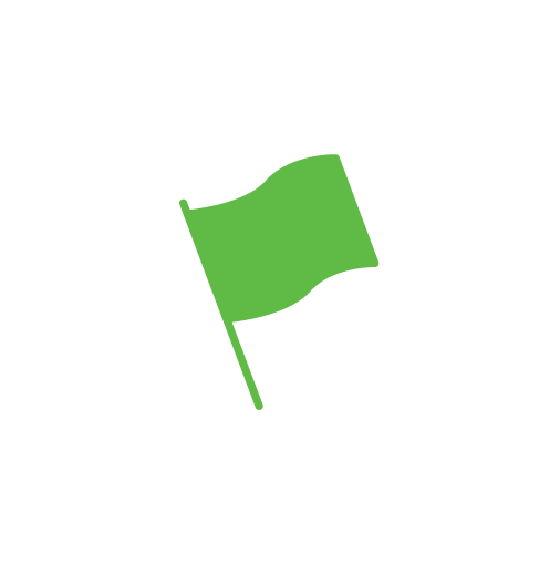 Flag Icon